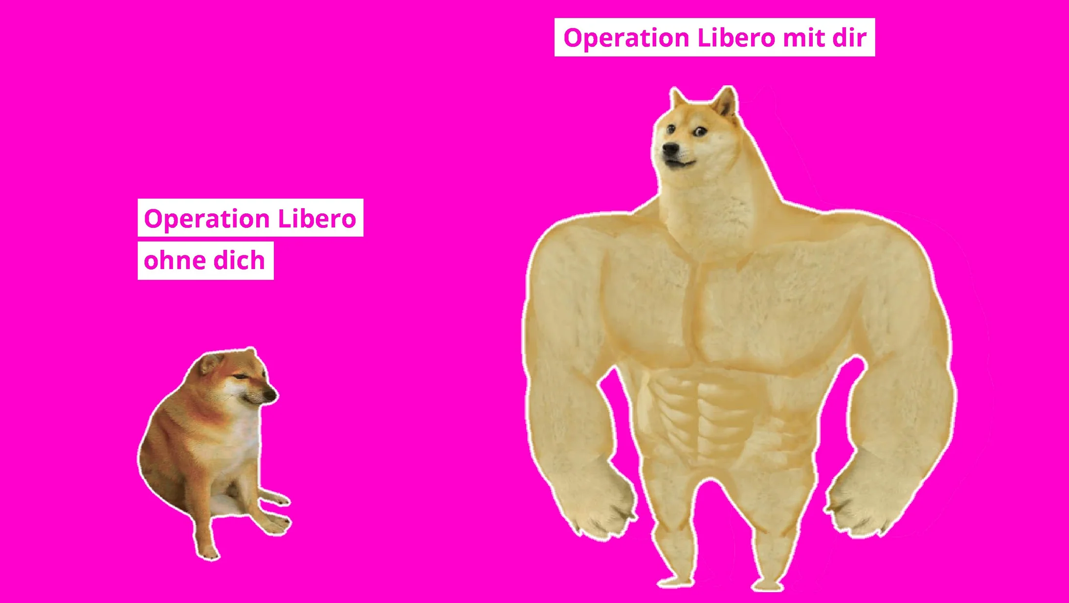 pinker doggos meme entscheidogramm mit text