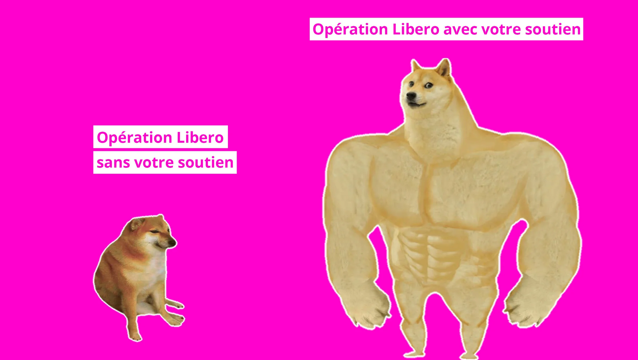 Opération Libero sans votre soutien et avec votre soutien