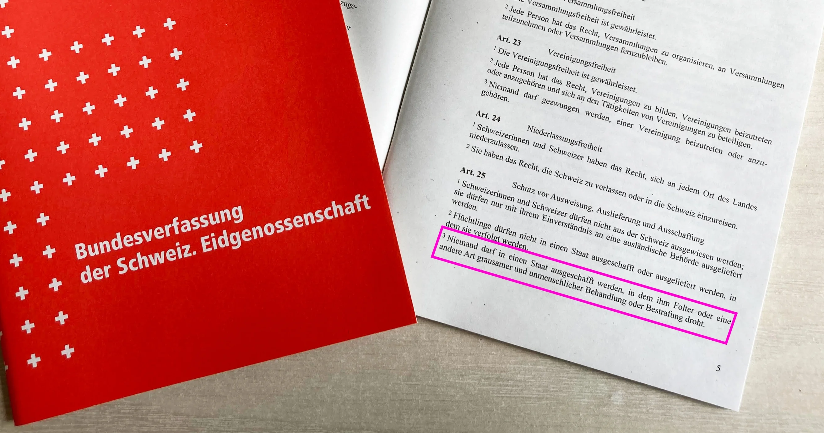 Die "Grenzschutz-Initiative" muss als ungültig erklärt werden