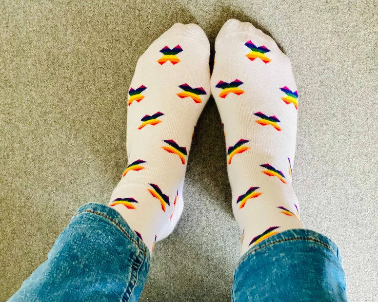 Equality Socks